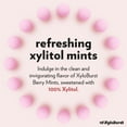 thumbnail image 3 of XyloBurst - Xylitol Mints | Sugar Free Breath Mints for Oral Health | Gluten Free, Vegan, Keto Friendly | Aspartame Free Mints | Berry | 275 Count, 3 of 6