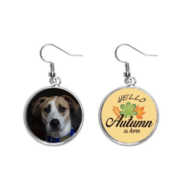 Perro animal oscuro panorama Pendiente del lóbulo de la joyería del pendiente de la hoja del otoño Unbranded M