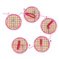 thumbnail image 2 of Latch Hook Rug Kits Embroidery Carpet Tapestry Handmade Cushion Crochet Hook, 2 of 9