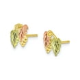 thumbnail image 2 of Primal Gold 10 Karat Yellow Gold with Green and Rose Gold-plated Black Hills Post Earrings, 2 of 7