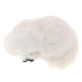 thumbnail image 1 of DOLITY Lifelike Simulation Animal Realistic Dog Home Ornament Desktop White, 1 of 9