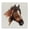 Rodeo Horse Painting, variant on Stupell Industries Traditional Canvas Art, 17 x 17, by Marilyn Hageman