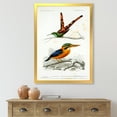 thumbnail image 3 of Designart 'Ancient Bird I' Traditional Framed Art Print, 3 of 4