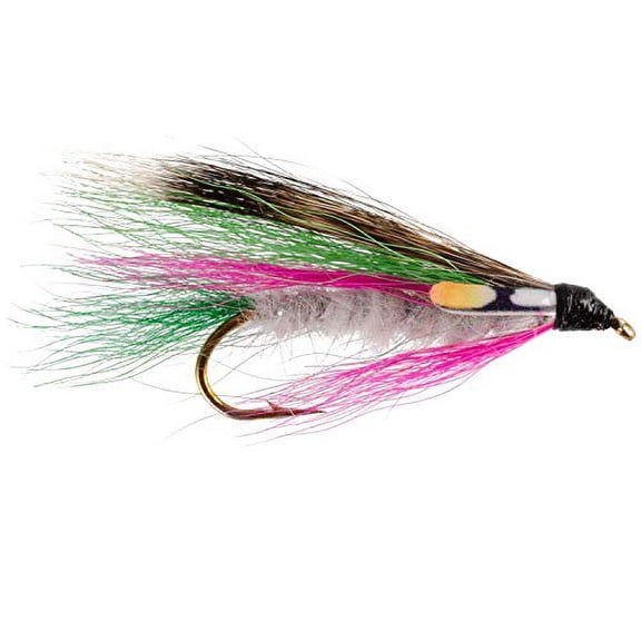 The Fly Fishing Place Classic Streamers Fly Fishing Flies Collection - Assortment of 12 Trout Wet Fly Streamer Flies - Hook Size 4