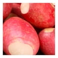thumbnail image 4 of Rabanitos Frutas Y Verduras Frescas Por Pieza, 4 of 5