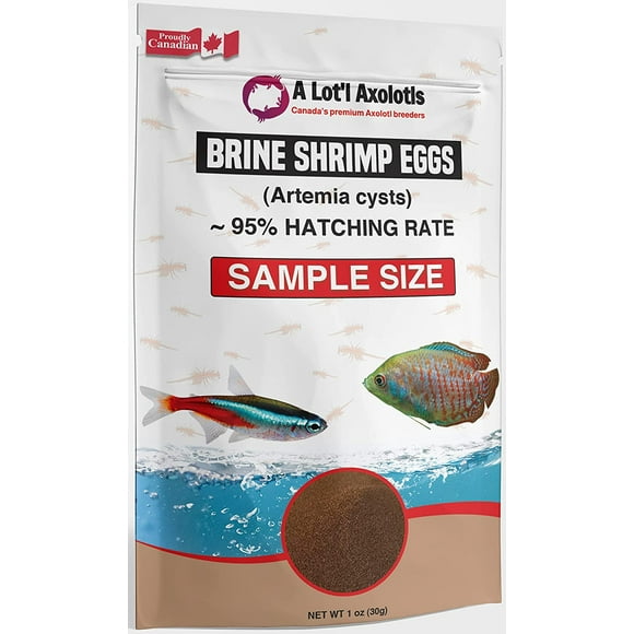 A Lot'l Axolotls - 95% Hatch Rate AAA Brine Shrimp Eggs - BBS Artemia Cyst - Fish / Fry Food - Mini / Sample Size -30 g / 1 Oz