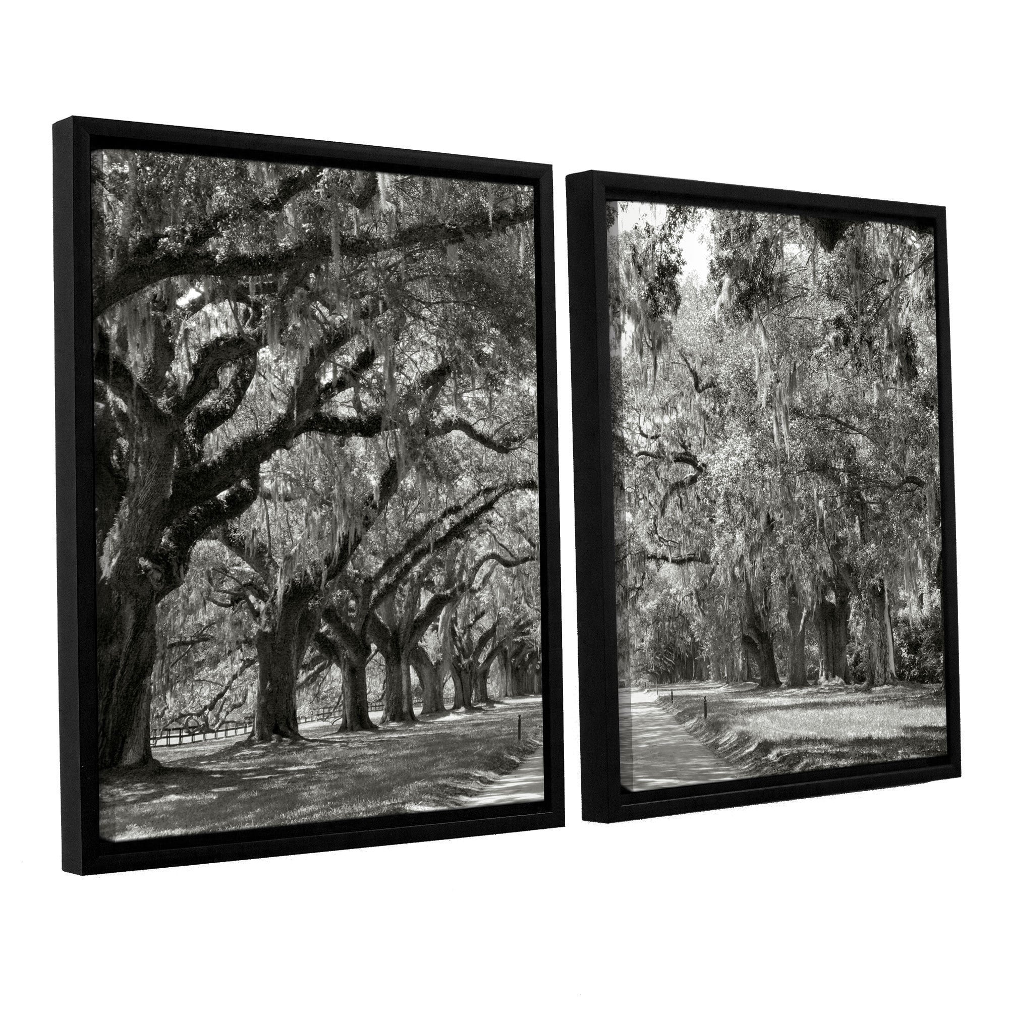 ArtWall Steve Ainsworth "Live Oak Avenue" 2-Piece Floater Framed Canvas Set