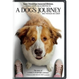 diamond dogs 10 TEN STEPS　DVD diamond dogs 10 TEN STEPS DVD Step Dogs DVD | eBay