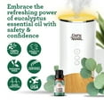 thumbnail image 5 of GuruNanda 100% Pure & Natural Eucalyptus Essential Oil for Aromatherapy & Diffuser - 15ml, 5 of 10