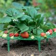 thumbnail image 2 of Strawberry Stand Frame Holder Balcony Planting Rack Fruit Support Plants B XBX, 2 of 8