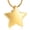 Golden, variant on Urn Necklace for Ashes Stainless Steel Small Star Urn Pendant Cremation Jewelry Star Shape Memory Keepsake for Women Men Gifts