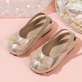 thumbnail image 2 of Girls Mary Jane Dress Shoes Bow Ballet Flats Round Toe Shoes Non-Slip Sole Flower Girl Wedding Party Shoes for Toddler and Little Girls Daily Wear Gold 27, 2 of 9