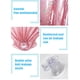 thumbnail image 3 of Lentejuelas Fila Flotante Fila Flotante Inflable Fila Flotante Cama Flotante Cama De Aire Flotante Para Piscina Playa qarigey OD012897-00, 3 of 6