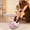 PK, variant on Amzcrzy Kitchen Appliances Usb Foot Heated Warmer Slippers Portable Feet Warmers With Heating Pad Foots Warmer Kitchen Utensils Set Kitchen Gadgets Kitchen Essentials
