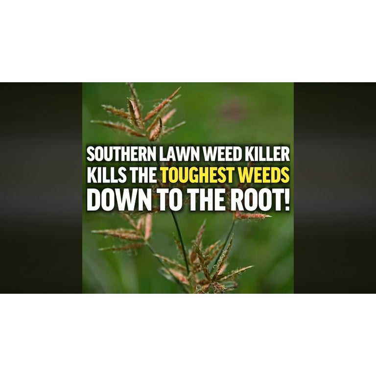 Weed Killer For Centipede Lawn
