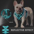 thumbnail image 4 of No Pull Dog Harness and Leash Set Adjustable Pet Harness Vest For Small Dogs Cats Reflective Mesh Dog Chest Strap French Bulldog, 4 of 5