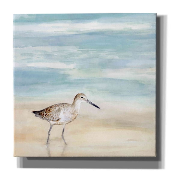 Epic Graffiti 'Speckled Willet I' by Victoria Borges, Canvas Wall Art, 37"x37"