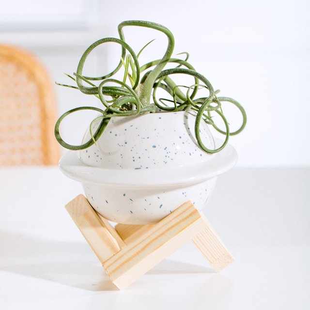 Florero pequeño Perfecl Adornos de Cerámica y madera blanco 12 cm x 12,5 cm