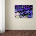 thumbnail image 3 of Trademark Fine Art "Paris Flower Market Hydrangeas" Canvas Art by Kathy Yates, 3 of 3
