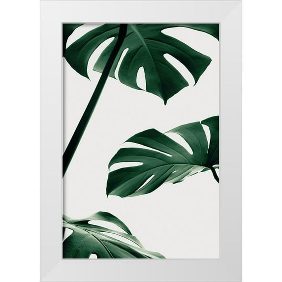 Artographie Studio 23x32 White Modern Wood Framed Museum Art Print Titled - Monstera Natural 13