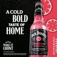 Jack Daniel's Country Cocktails Downhome Punch, 6 Pack, 10 oz Bottles