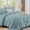 Greyish Blue, variant on Sasttie Queen Size Comforter Set, 7-Piece Bed in a Bag, Pintuck Bedding Sets for All Season, Mint