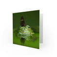 thumbnail image 2 of Birthday Animal Frog Butterfly Green Greetings Card Plus Envelope Blank inside, 2 of 3