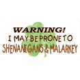 thumbnail image 1 of Warning Shenanigans and Malarkey Photo License Plate, 1 of 2