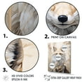 thumbnail image 3 of Designart "Fox Portrait In Minimalist Forest Setting III" Animals Fox Floater Framed Canvas Prints, 3 of 5