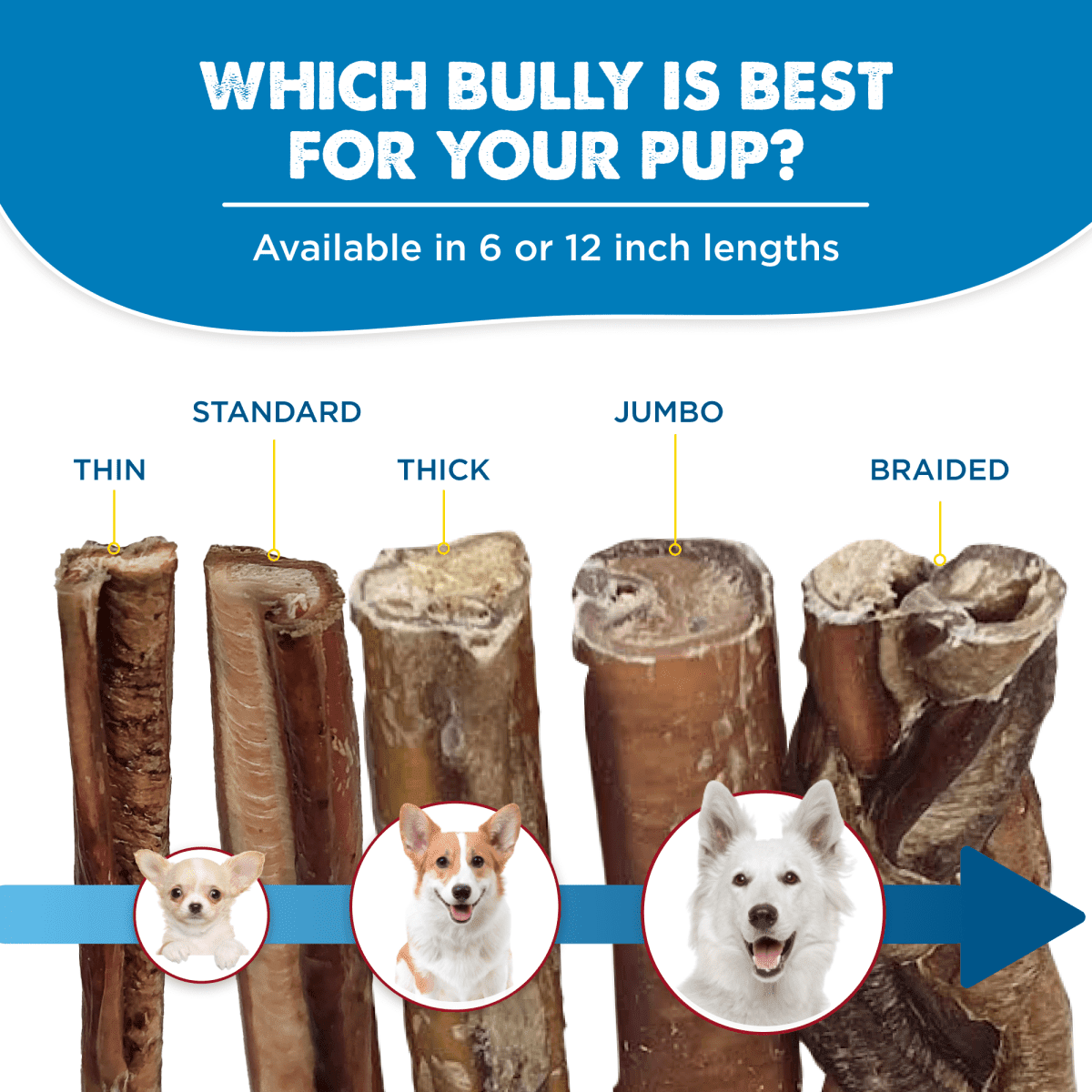 Best Bully Sticks Odorless 4-8 Inch Bully Sticks for Dogs - 8 oz (Pack of 1) - 100% Natural Grass-Fed Beef, No Rawhide, Grain and Odor Free Chew Treat - Small, Medium, Large Breeds, Puppies