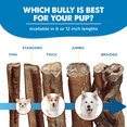 thumbnail image 5 of Best Bully Sticks Odorless 4-8 Inch Bully Sticks for Dogs - 8 oz (Pack of 1) - 100% Natural Grass-Fed Beef, No Rawhide, Grain and Odor Free Chew Treat - Small, Medium, Large Breeds, Puppies, 5 of 6