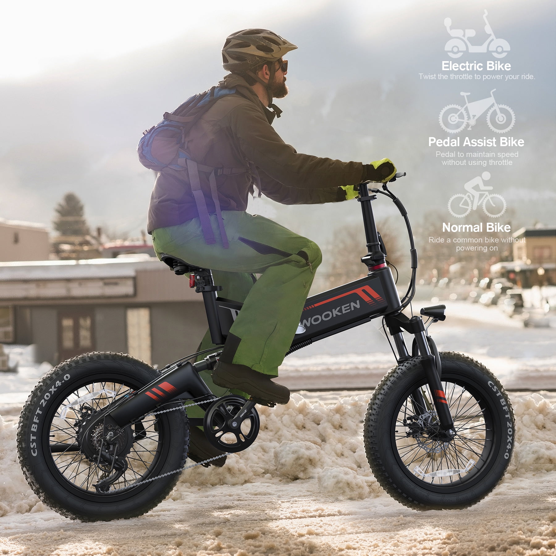 Wooken 20"X4.0 Fat Tire Electric Bike for Adults, 500W Foldable Electric Bicycle with 48V 10Ah Built-in Battery, Shimano 7 Speed, Dual Shock Absorber