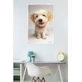thumbnail image 2 of Keith Kimberlin - Puppy Wall Poster, 22.375" x 34", 2 of 2