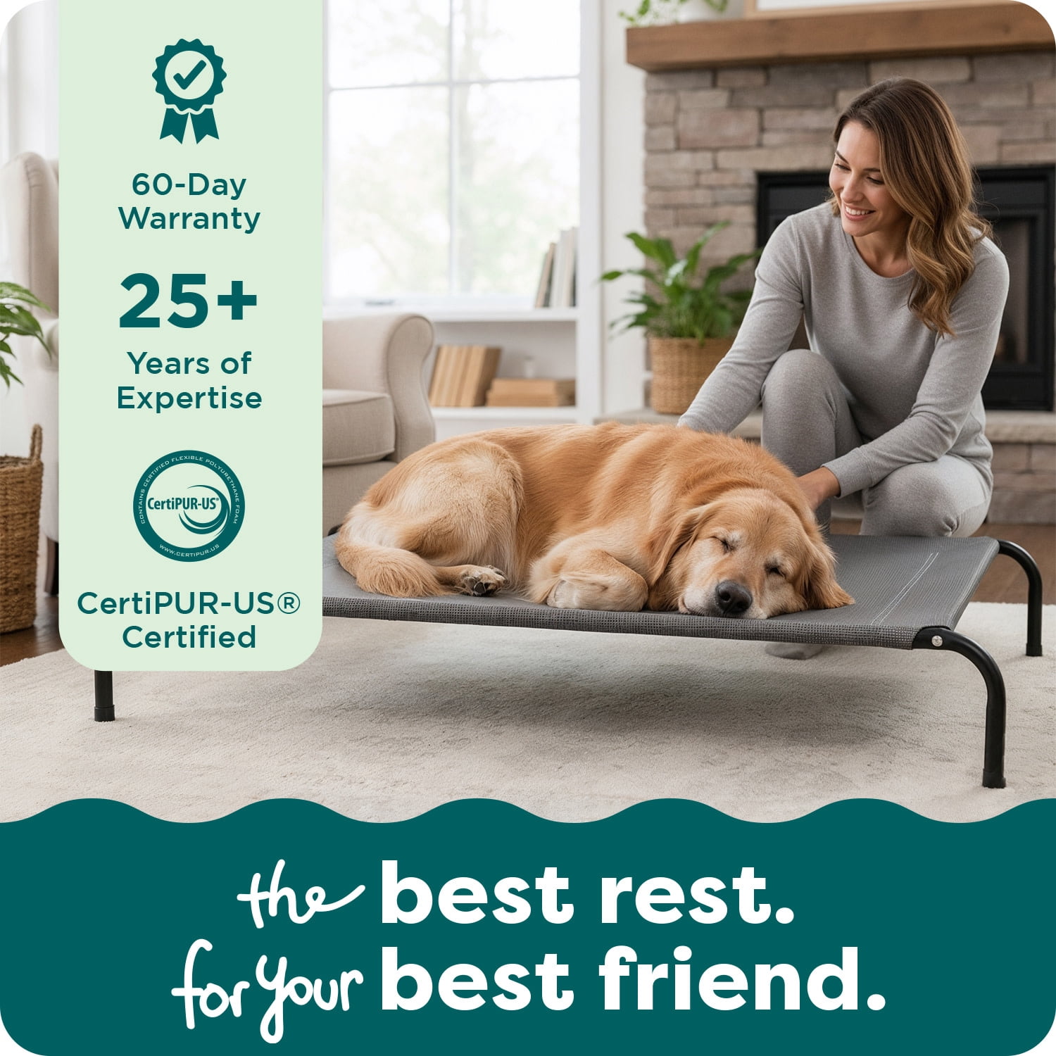 Elevated Cot Pet Bed, Graphite Gray, Extra Large