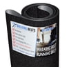 Sole F63 (563814) Treadmill Running Belt Sand Blast + Free 1 oz. Lube