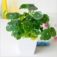thumbnail image 4 of Bgsha Plastic Grass Fish Tank Aquarium Home Decor Accessories Artificial Water Plant, 4 of 10