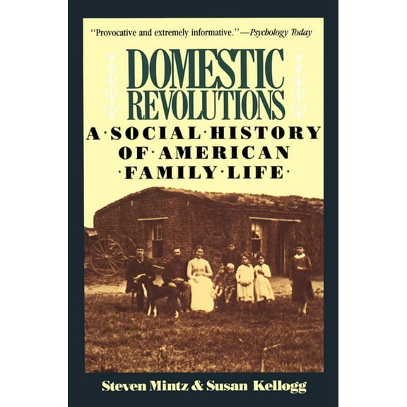Domestic Revolutions : A Social History Of American Family Life (Paperback)