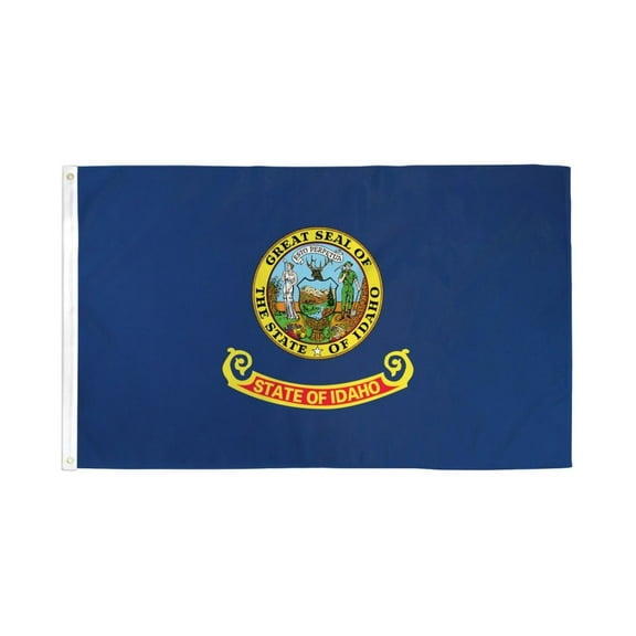 Idaho Flag 3x5ft Poly