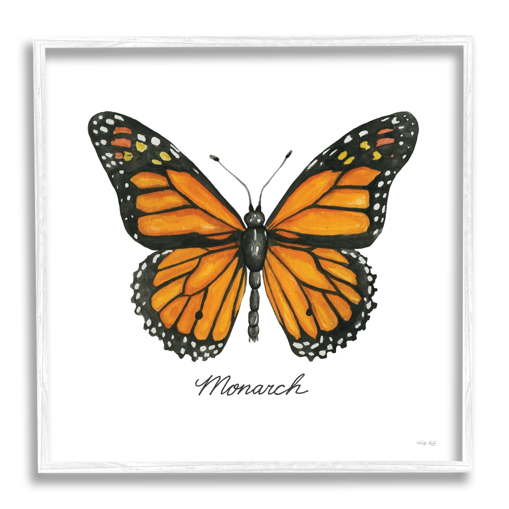 Stupell Industries Monarch Butterfly Casual Insect Wildlife Design Graphic Art White Framed Art Print Wall Art, Design by Cindy Jacobs