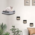 thumbnail image 6 of Cat Wall Furniture Set with Plush Cushion, Cat Hammock Cat Wall Shelves with 3 Cat Wall Steps, Cat Shelves and Perches for Wall Climbing Shelves for Indoor, Black Indoor Cat Shelves Wall Mount, 6 of 7