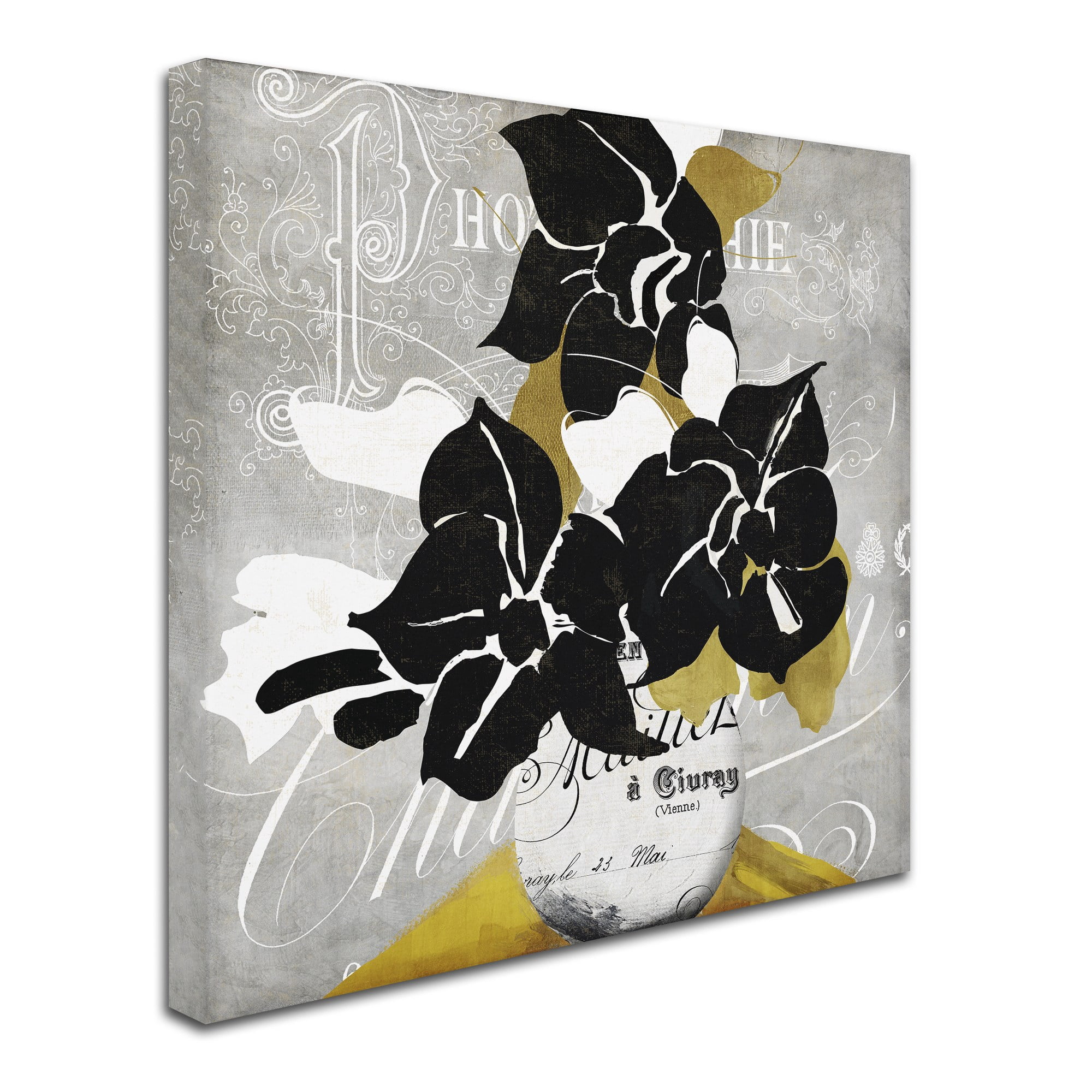 Trademark Fine Art "Georgette I" Canvas Art by Color Bakery