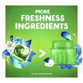 thumbnail image 6 of Gain Flings! Liquid Laundry Detergent Pacs, Blissful Breeze, 81 Count, 6 of 9