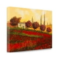 thumbnail image 2 of Papaveri Toscana II By Guido Borelli, 24" x 16" Fine Art Giclee Print on Gallery Wrap Canvas, Ready to Hang, 2 of 2