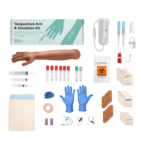 Anatomy Lab Venipuncture & IV Practice Simulation Arm Kit — Realistic Phlebotomy & IV Training Model for Nursing, EMT & Medical Students — Reusable Clinical Skills Trainer - Light