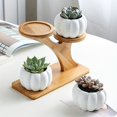 thumbnail image 1 of 1pc Tiered Plant Stands Succulent Pot Small Plant Shelf Stand For Indoor Plants Mini, 1 of 4