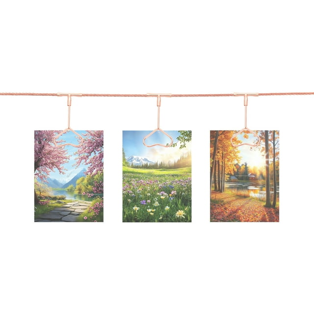 2pcs Wall Hanging Photo Display Cable Wire Rod with 24 Heart Clips, 5Ft Hanging Picture Frames Collage Rose Gold
