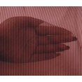 thumbnail image 4 of oneOone Tissu Viscose Chiffon Rouge Foncé Rayures Projets de Couture Tissu Imprimé au Mètre 42 Pouces de Large, 4 of 4