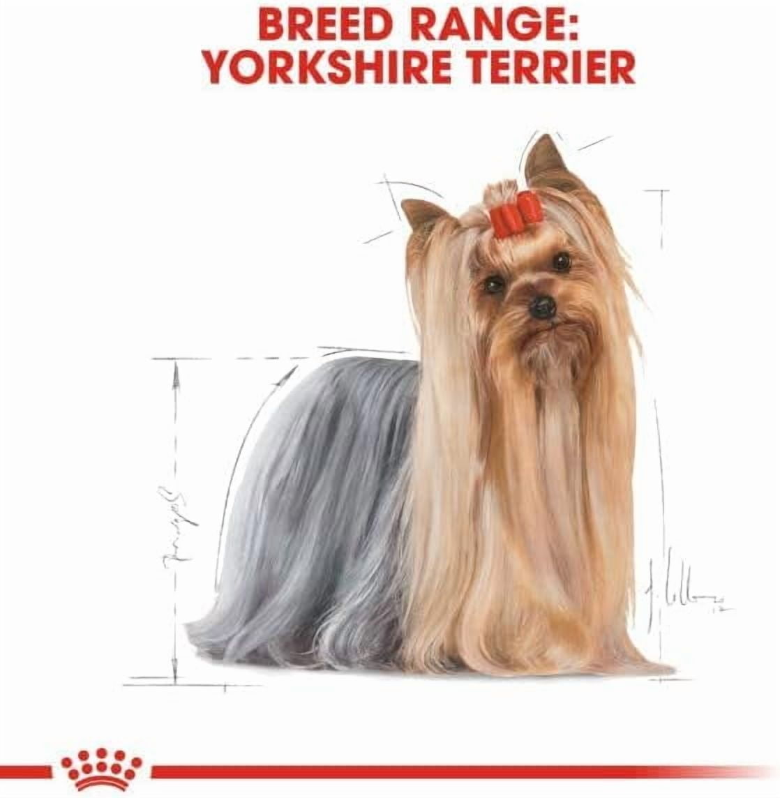 Royal Canin Yorkshire Terrier Dog Wet Food 12x85g