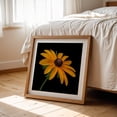 thumbnail image 6 of Black Eyed Susan - Photography Floral Flowers Botanical Nature Garden Summer Scenic Oak Framed Wall Art Print 16 x 16 inches, 6 of 8