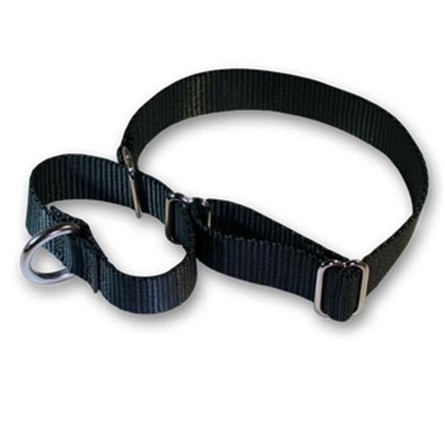 extra large martingale dog collars